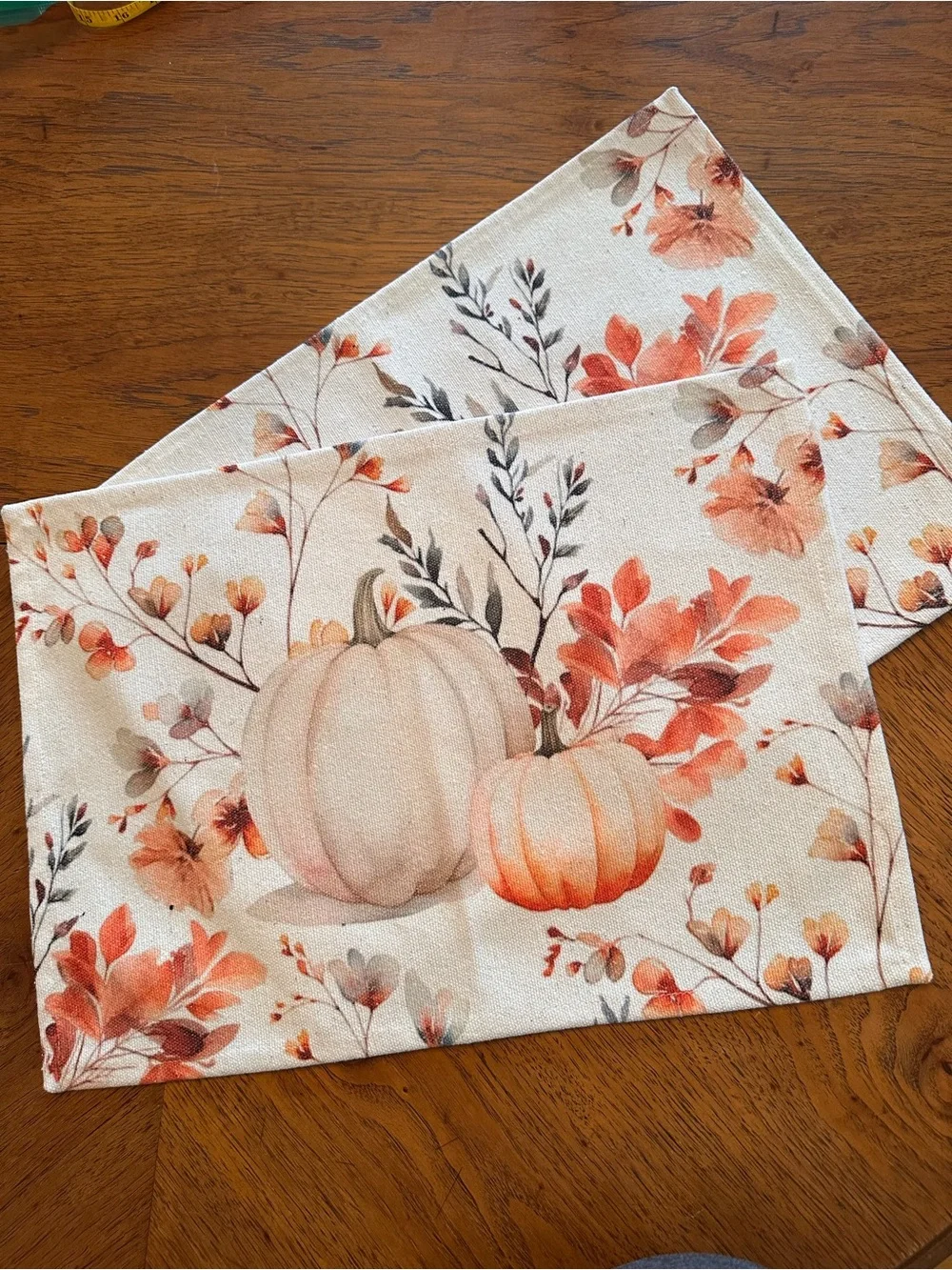 Martha Stewart Set of 2 Fall Autumn Pumpkin Table Placemats, NWT